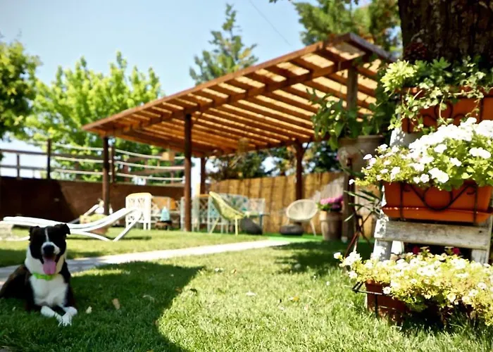 Oda ve Kahvaltı Da Betta